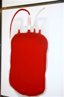 Palais Unesco Beirut-Downtown Exhibition One Blood by Hady Sy exhibition Lebanon