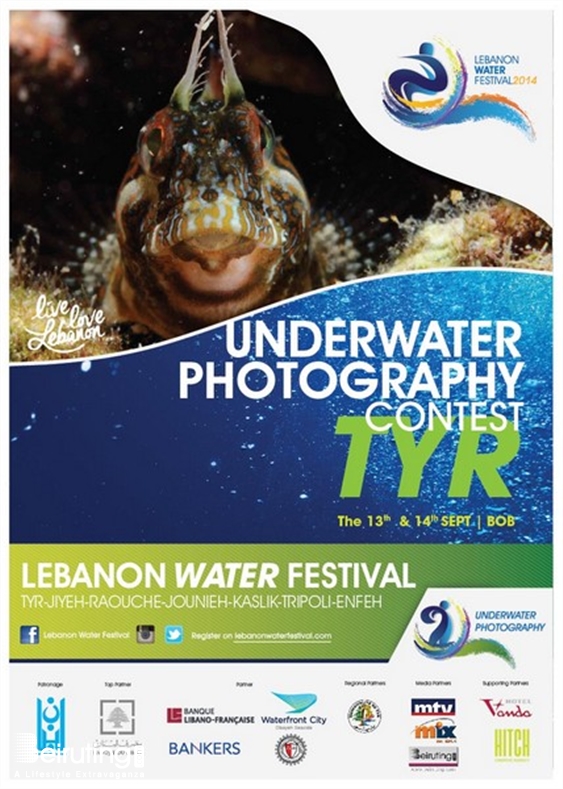 Activities Beirut Suburb Social Event Lebanon Water Festival Underwater Photography Lebanon